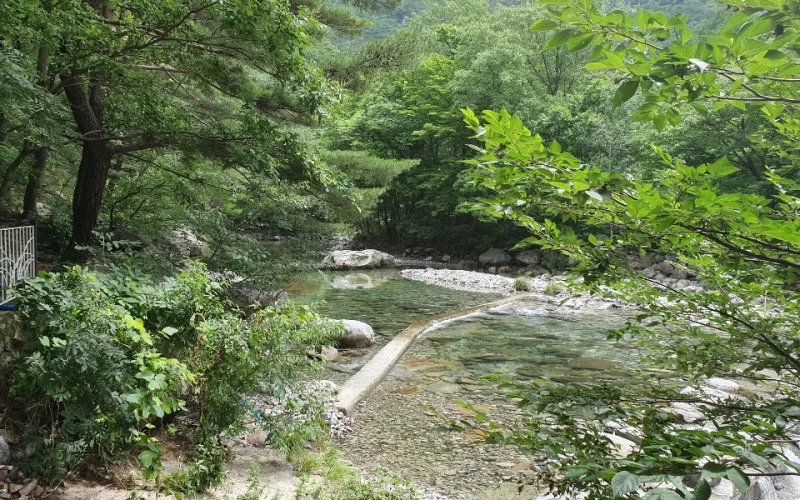 경북 청도 운문사 부근