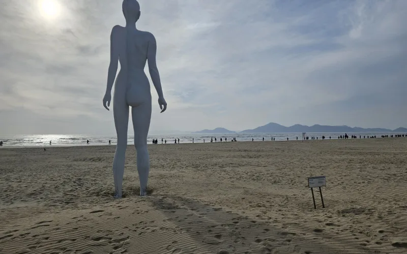 지자체 행정의 무능함!!