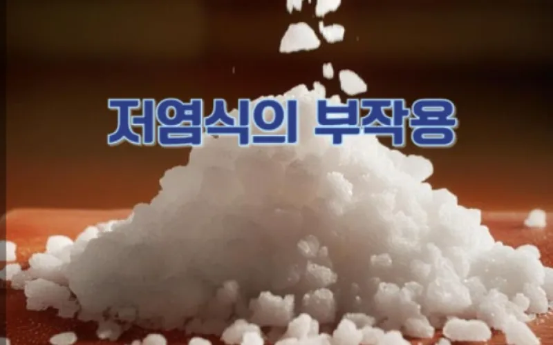 저염식의 함정!!, 우리는  어떠한 소금을 먹어야하는가!!??
