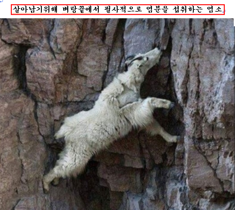 130ff4b0b9fcc88431a83d084824d73e_1746485392_3629.png