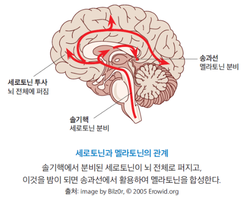 db85e834782c2f6a75ba7ca59d51753f_1746667151_2122.png
