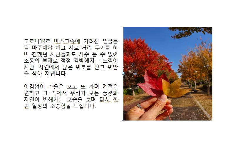 코로나 우울 극복을 위한 「제3차 관계부처 및 시도 협의체」 회의 개최