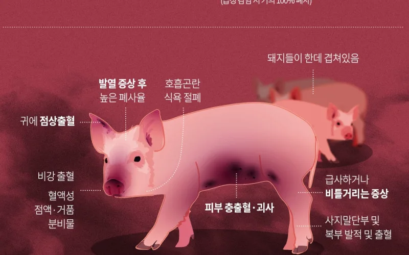 야생멧돼지 아프리카돼지열병 발생 및 대응상황(10월 8일~14일)