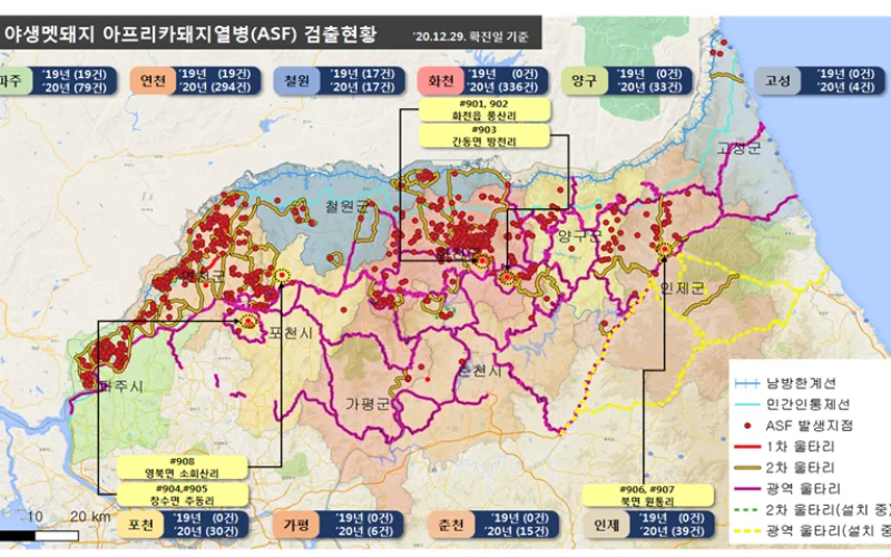 겨울철 야생멧돼지 아프리카돼지열병 확산 차단대책 추진