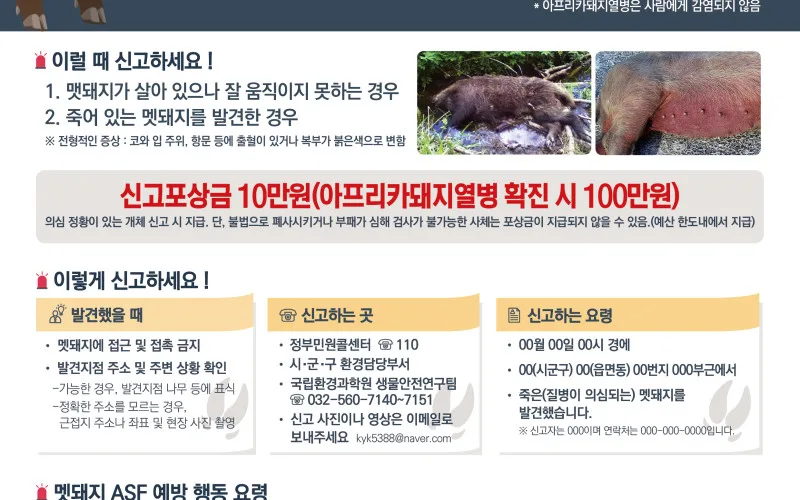 아프리카돼지열병(ASF) 방역 추진상황 (2020.10.21)