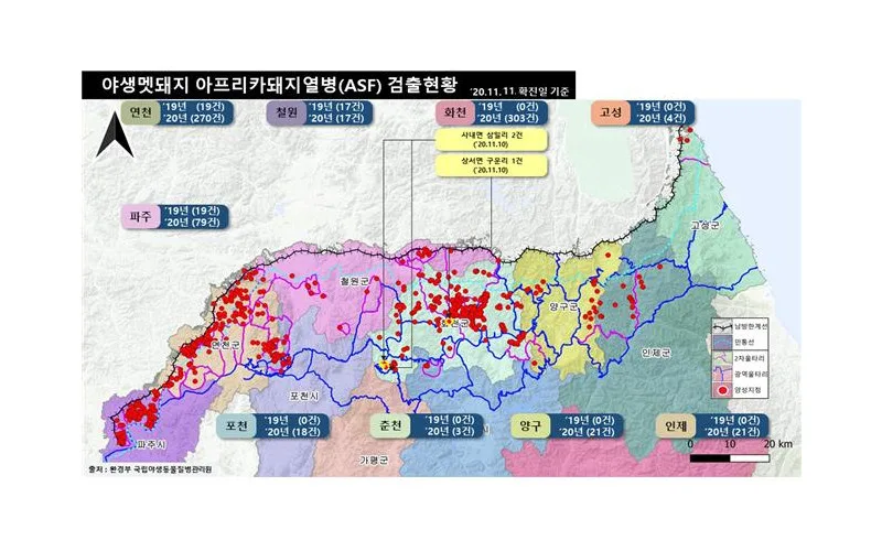 야생멧돼지 아프리카돼지열병 발생 및 대응상황(11월 3일~11일)
