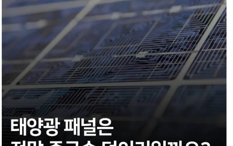 기후위기 대응, 이제 시민이 직접 감시한다