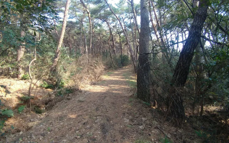 환경파괴로 인하여 문명들이 사라졌다.