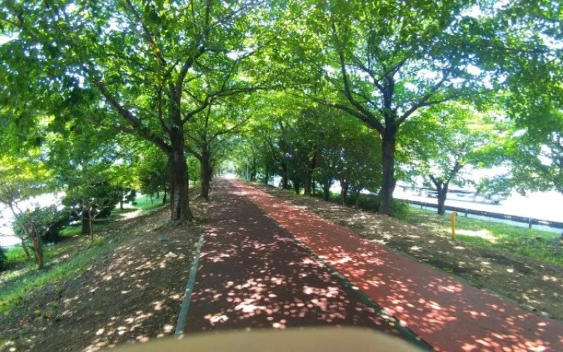폐수 공장 만들돈으로 산소 공급 공장 만들어라!