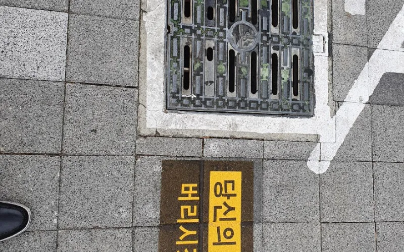당신의 집이라도 버리시겠습니까?